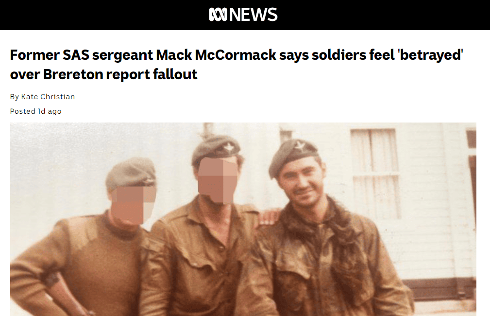 Views of SAS member Brereton Report