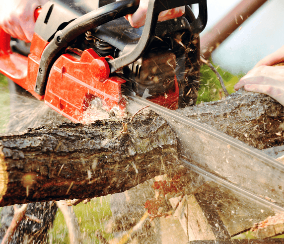 Close-up of a chainsaw cutting through a timber log